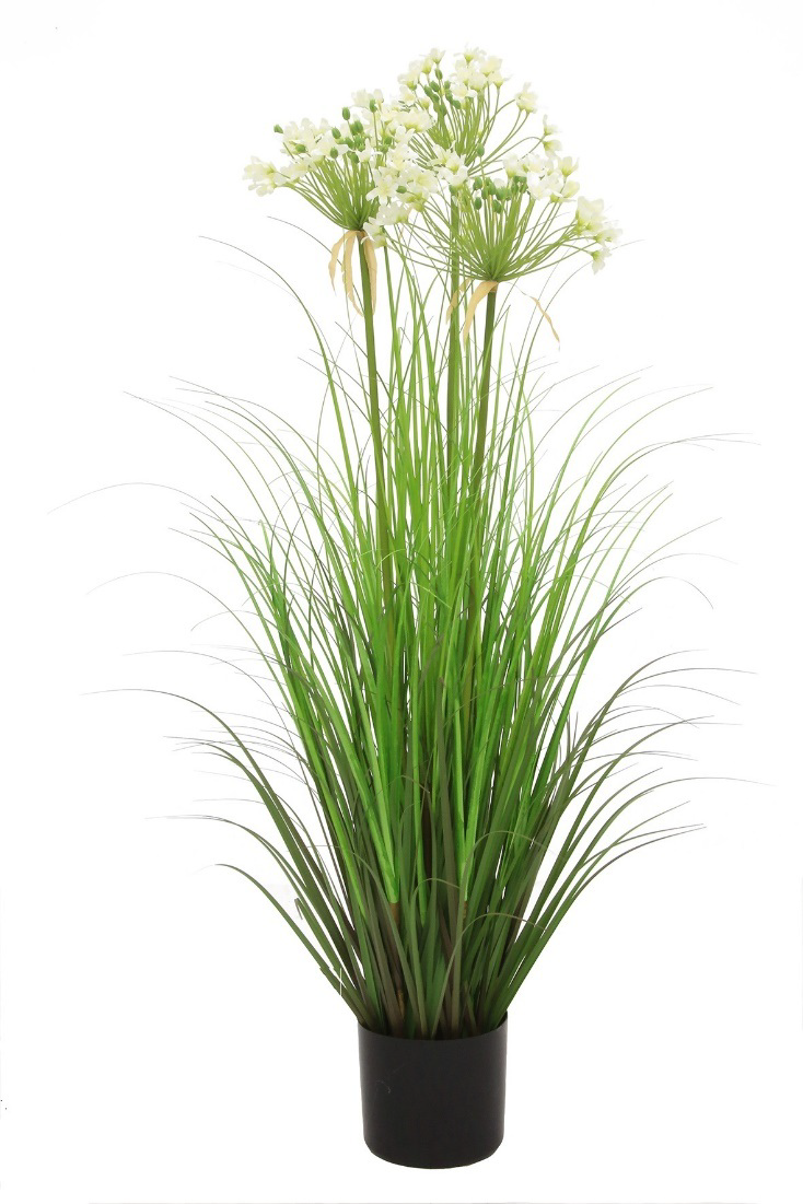 Leek Flower Grass With Plastic pot/ AP-6254-6255
