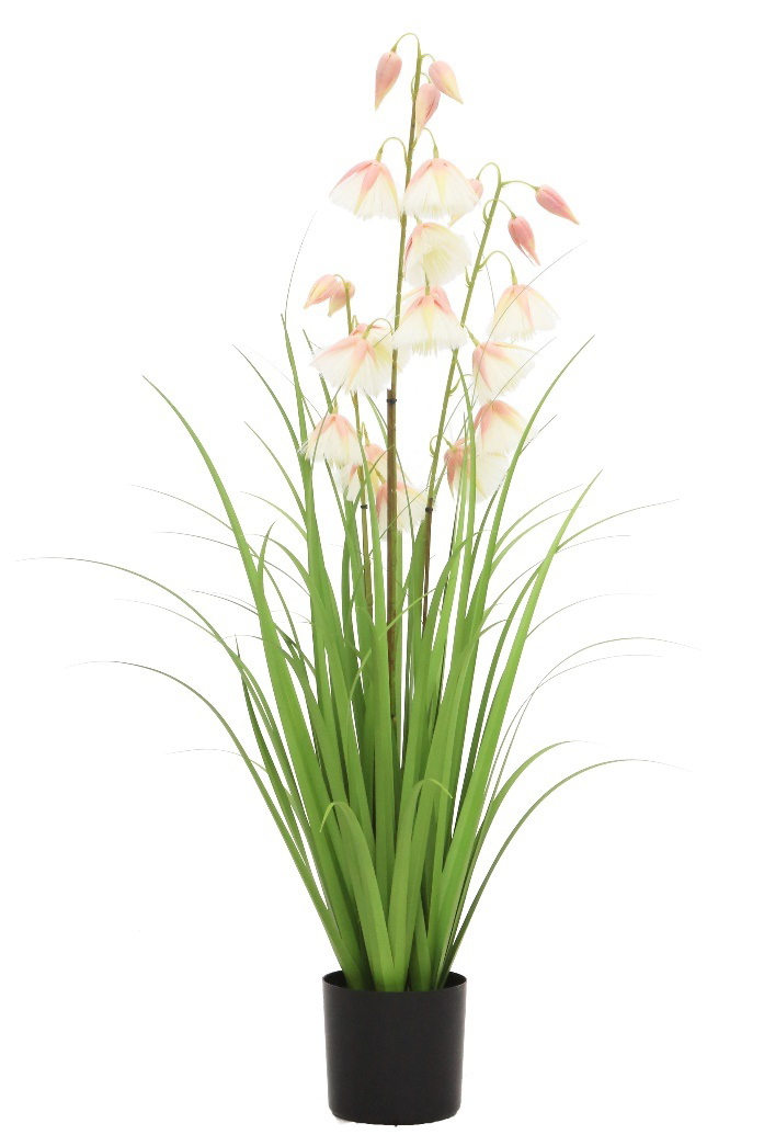 Princess Flower Grass With Plastic pot/AP-7173-7174