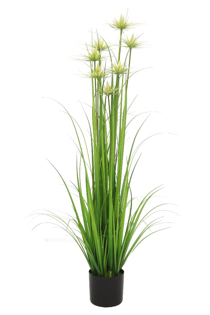 Water Lotus Grass with Plastic Pot/AP-7003-GW-DBG